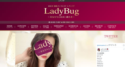 Lady Bug レディバグ
