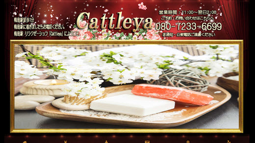 Cattleya
