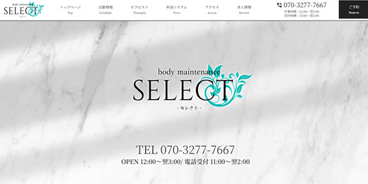 SELECT セレクト