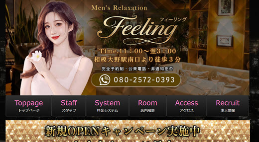 Feeling フィーリング