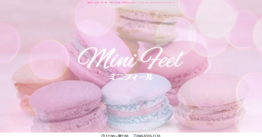 Mini Feel ミニフィール