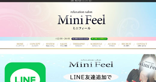 Mini Feel ミニフィール