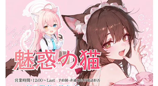 魅惑の猫