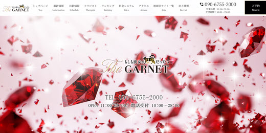 The GARNET