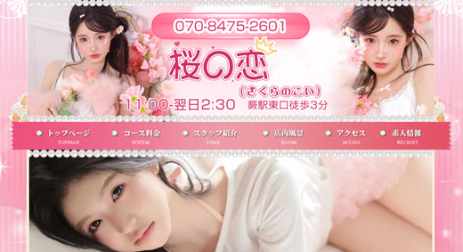 桜の恋