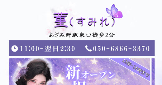 菫 すみれ