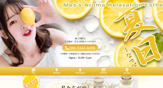 夏日 なつび