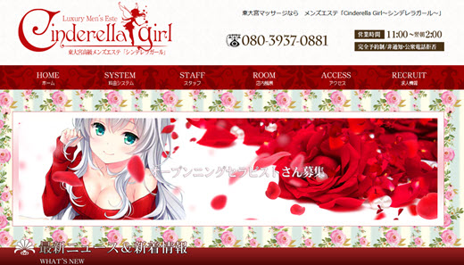 シンデレラガール