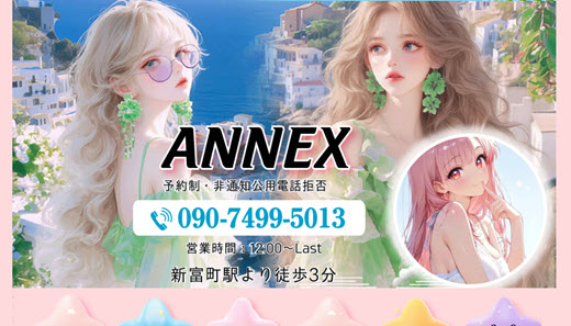 ANNEX