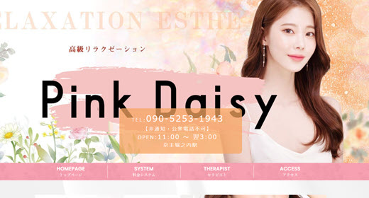 Pink Daisy