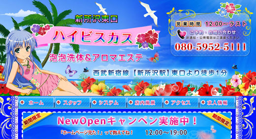 ハイビスカス