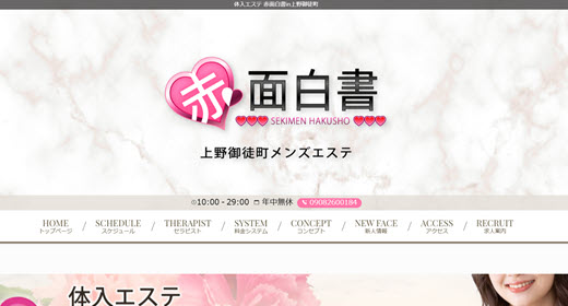 赤面白書