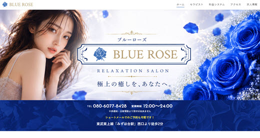 BLUE ROSE ブルーローズ
